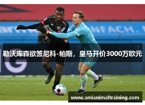 勒沃库森欲签尼科-帕斯,皇马开价3000万欧元