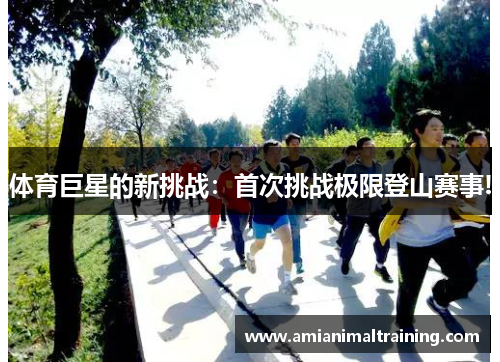 体育巨星的新挑战:首次挑战极限登山赛事!