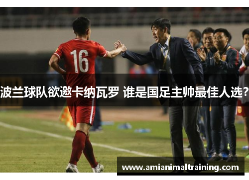 波兰球队欲邀卡纳瓦罗 谁是国足主帅最佳人选?